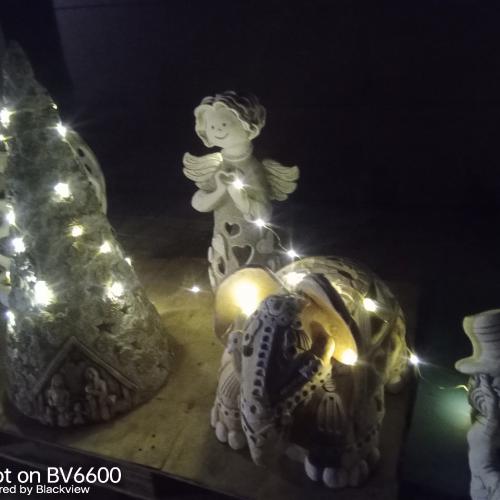 Zahradní architektura