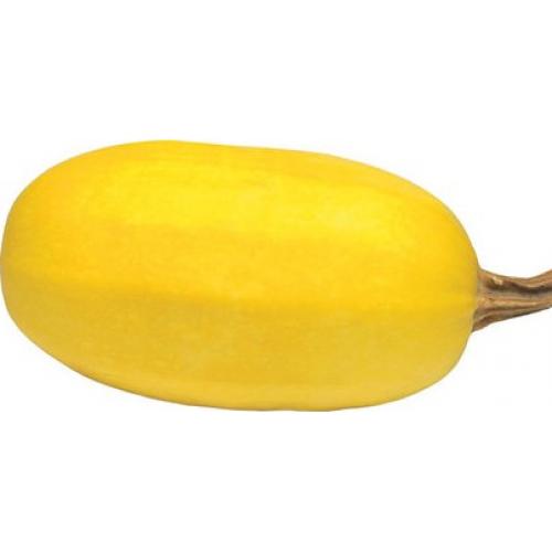 Dýně